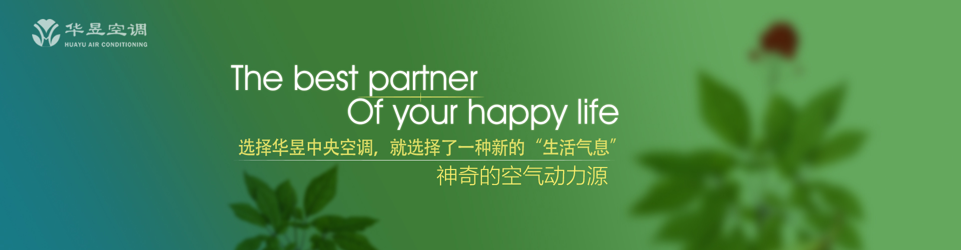 半梦半醒网